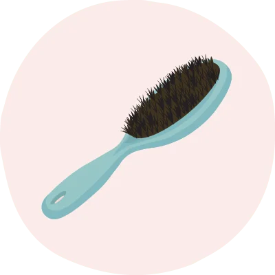 برس صاف کننده